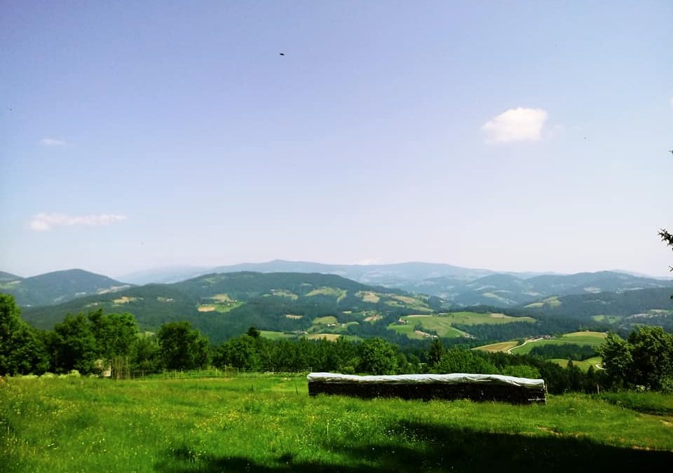 Športni dan Poštarski dom