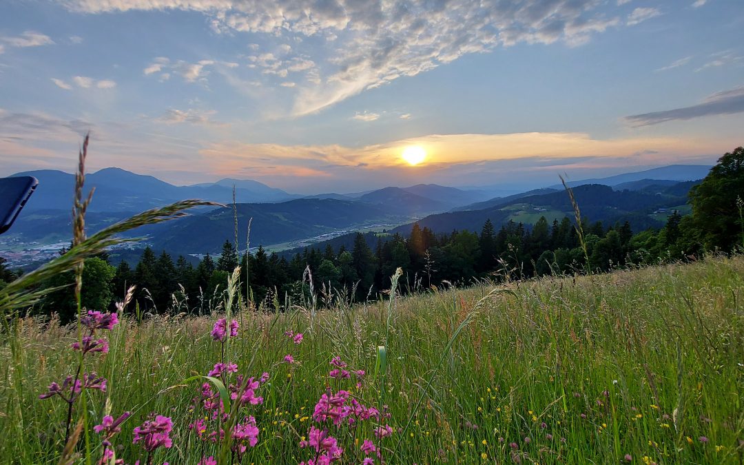 SONČNI ZAHOD IN OGLED FILMA