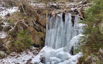 Pohod na Roglo (tretja ura športne vzgoje)